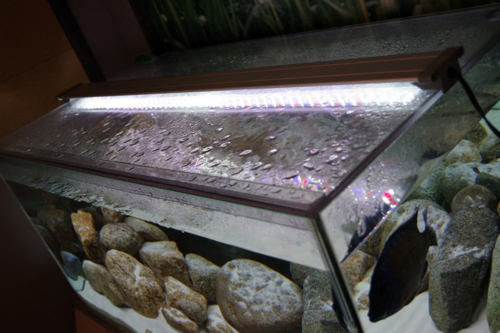 【solid様】60センチ水槽＋その他備品 60センチ(cm)水槽・水槽セット10選！初心者に断然おすすめ！ – Fish
