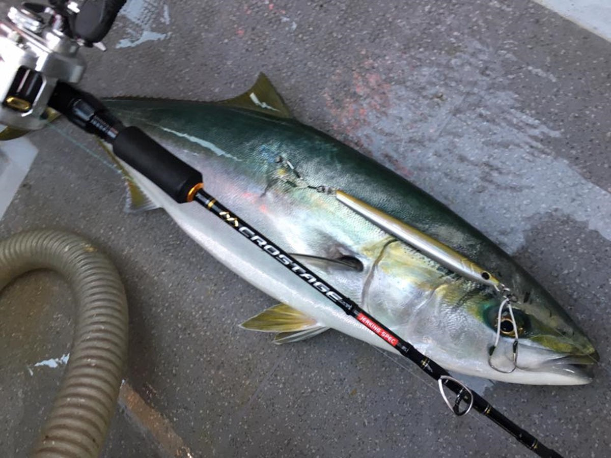 メジャークラフトロッドの特徴とは？おすすめモデル15選！ – Fish Paradise