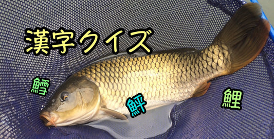 さかなへんの漢字クイズ〜初級編その②〜あなたは難問正解できる？