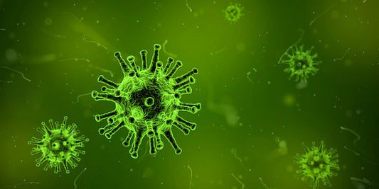 殺菌灯の効果とは？水槽に設置する際の注意点もチェック！
